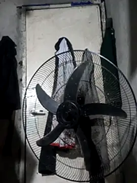 Sweet-Jhonna online show from December 2, 2025, 3:51 pm