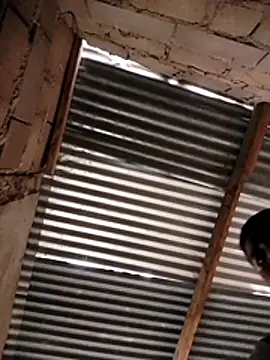 manumegumy online show from November 19, 2025, 7:25 pm