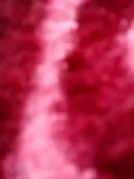 Reema 143 online show from November 30, 2025, 4:05 am