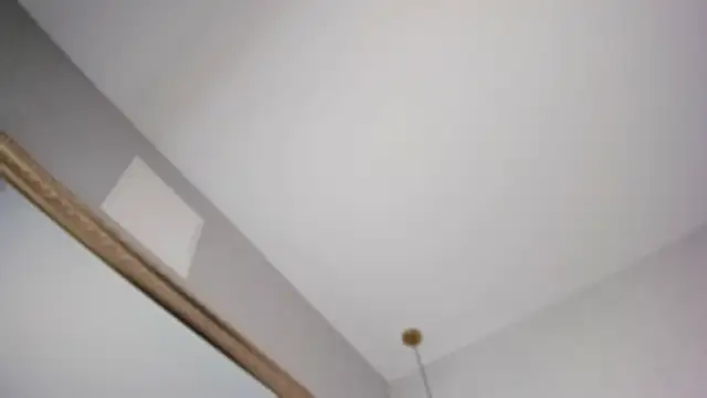 megann myers online show from February 17, 2026, 11:50 am