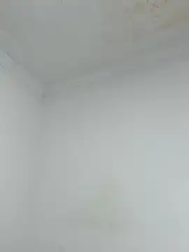  Pamela 1 online show from December 17, 2025, 2:39 am