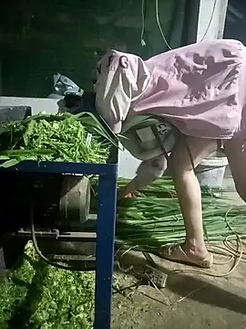 Snapshot of nangmo chatting on March 7, 2026, 12:02 pm nangmo online show from March 7, 2026, 12:02 pm