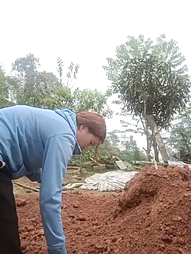 Snapshot of nangmo chatting on March 12, 2026, 7:47 am nangmo online show from March 12, 2026, 7:47 am