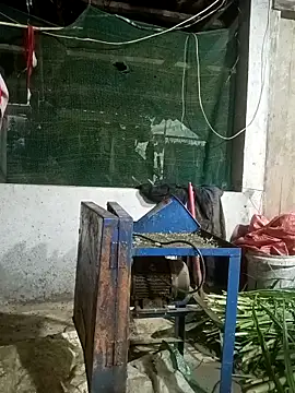 Snapshot of nangmo chatting on March 12, 2026, 11:22 pm nangmo online show from March 12, 2026, 11:22 pm