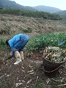 Snapshot of nangmo chatting on March 18, 2026, 11:13 am nangmo online show from March 18, 2026, 11:13 am