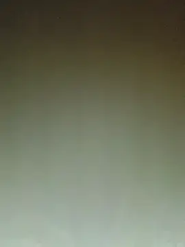 ArgentinaShani online show from February 11, 2026, 3:00 am