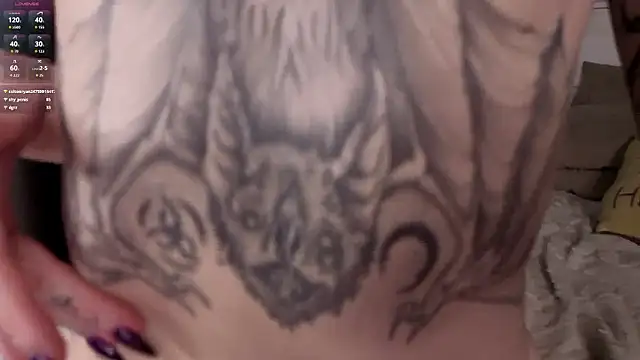 Snapshot of BobbieNibbe chatting on February 3, 2026, 6:22 am BobbieNibbe online show from February 3, 2026, 6:22 am