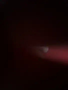 Snapshot of PartiedOmelet chatting on November 24, 2025, 7:24 pm PartiedOmelet online show from November 24, 2025, 7:24 pm