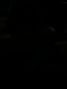 BigDick-A-Money online show from April 28, 2026, 7:30 pm