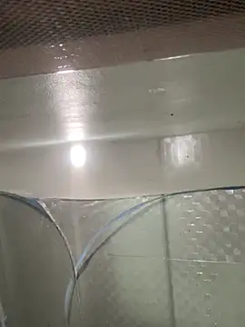 muti99 online show from February 8, 2026, 12:52 pm