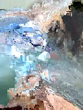 Harry254238 online show from January 15, 2026, 5:38 pm