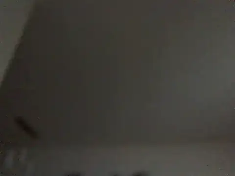 alico1971 online show from December 4, 2025, 7:39 am