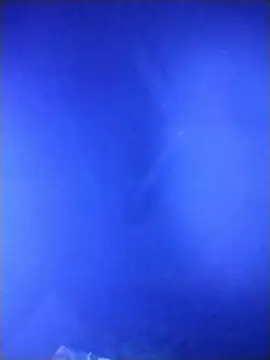 qaarlyfogosa online show from February 11, 2026, 10:31 am