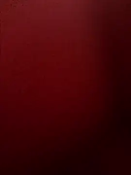 Snapshot of chriss13fc chatting on April 29, 2026, 9:02 am chriss13fc online show from April 29, 2026, 9:02 am