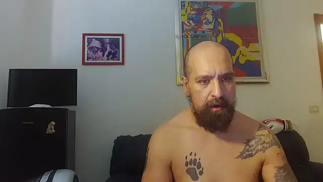 AMIRDIB2025 online show from June 17, 2026, 10:50 am