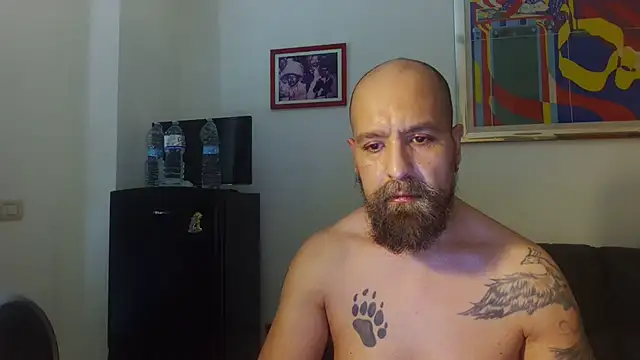 AMIRDIB2025 online show from July 4, 2026, 2:01 pm