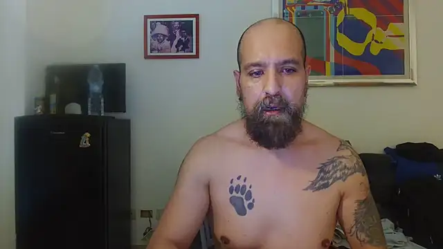 AMIRDIB2025 online show from July 8, 2026, 5:39 pm
