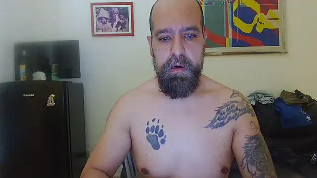AMIRDIB2025 online show from July 11, 2026, 12:08 pm