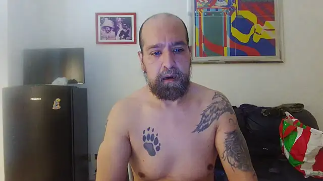 AMIRDIB2025 online show from July 17, 2026, 4:23 pm