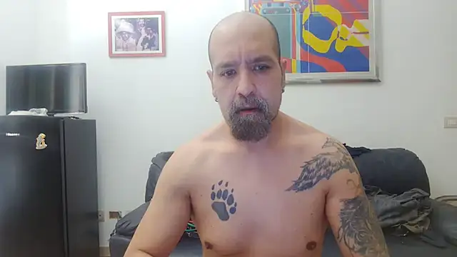 AMIRDIB2025 online show from July 28, 2026, 7:26 am