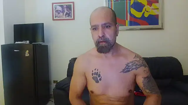 AMIRDIB2025 online show from July 28, 2026, 4:39 pm