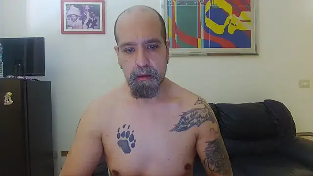 AMIRDIB2025 online show from August 3, 2026, 10:10 am