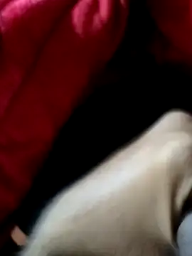 mast boy online show from December 14, 2025, 8:52 am