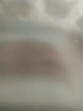 kral4531 online show from December 1, 2025, 3:50 pm