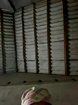 Lilik2 online show from December 5, 2025, 9:29 am