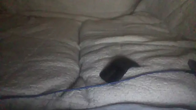 Snapshot of moneymaker50 chatting on December 2, 2025, 4:51 am moneymaker50 online show from December 2, 2025, 4:51 am