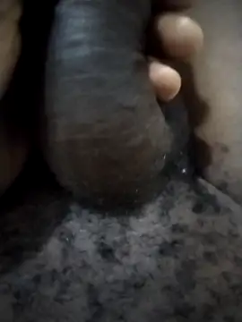 Piazza21 online show from February 11, 2026, 4:50 am