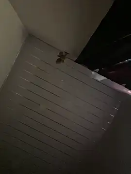 Carameloswing1 online show from March 19, 2026, 10:14 pm