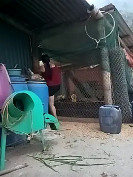 sary-hot2x online show from April 15, 2026, 11:28 am