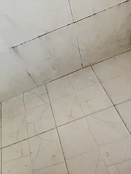 BoyMuslimTelugu online show from December 17, 2025, 5:24 am