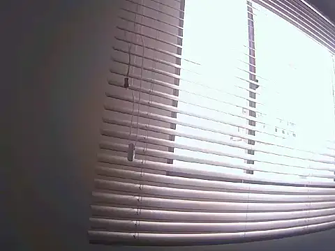 Fernanda andrew online show from March 25, 2026, 3:51 pm