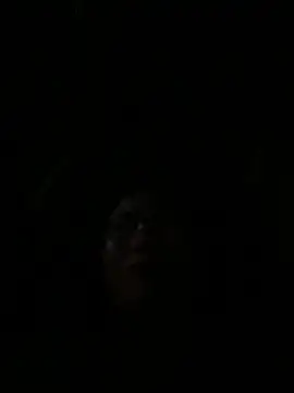 vero-obc online show from April 26, 2026, 12:52 am