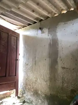 Samsam-006 online show from January 17, 2026, 5:56 am