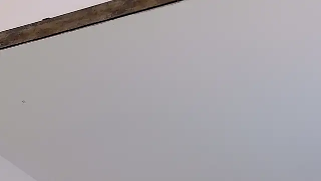 Snapshot of LucyHanks chatting on February 23, 2026, 3:42 pm LucyHanks online show from February 23, 2026, 3:42 pm