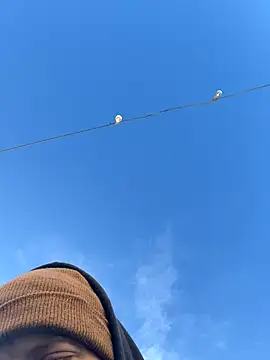 Big German cock974 online show from December 21, 2025, 1:40 pm