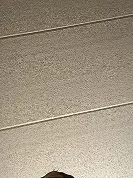 Big German cock974 online show from February 16, 2026, 9:00 pm