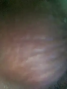 zoodangermind online show from July 13, 2026, 4:37 am