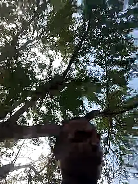 Andreskelly online show from March 17, 2026, 3:15 pm