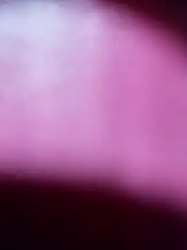 Snapshot of Myrelahot chatting on March 21, 2026, 12:37 am Myrelahot online show from March 21, 2026, 12:37 am