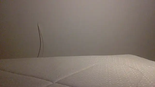 Snapshot of Palinchik chatting on February 1, 2026, 10:41 pm Palinchik online show from February 1, 2026, 10:41 pm