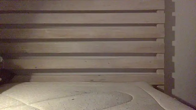 Snapshot of Palinchik chatting on February 25, 2026, 2:43 am Palinchik online show from February 25, 2026, 2:43 am