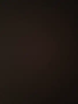 Max69690 online show from May 17, 2026, 6:44 am