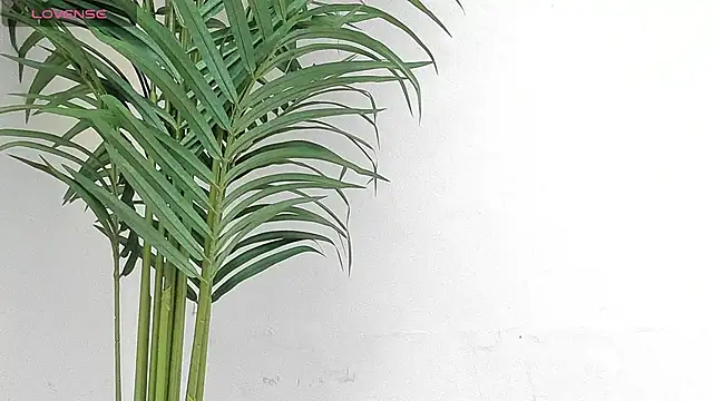 sebastamayo  online show from January 9, 2026, 8:54 pm