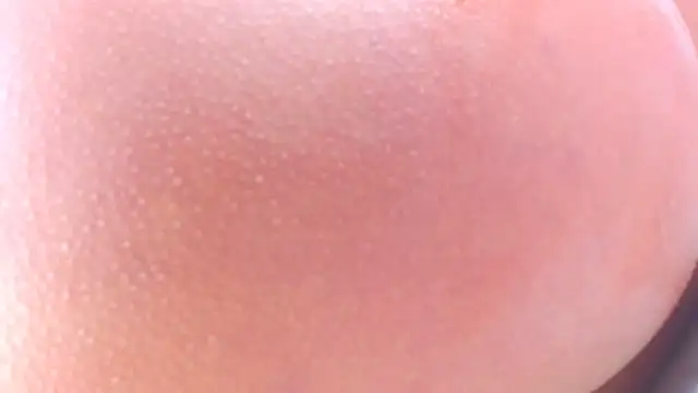 lorenaanalx online show from February 1, 2026, 2:59 pm