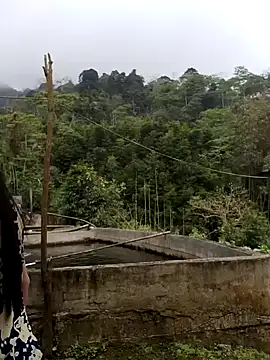  CTMay 77 online show from April 1, 2026, 4:02 am