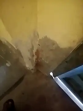 ahannaskar228 online show from December 22, 2025, 9:17 am